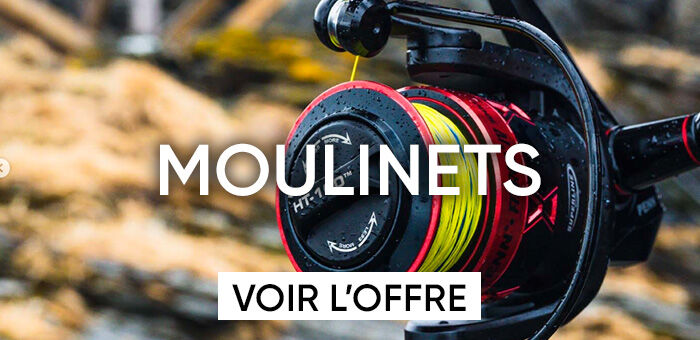 Moulinets silure 
